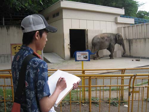 scketing elephant.jpg